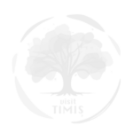 visit-timis-alb
